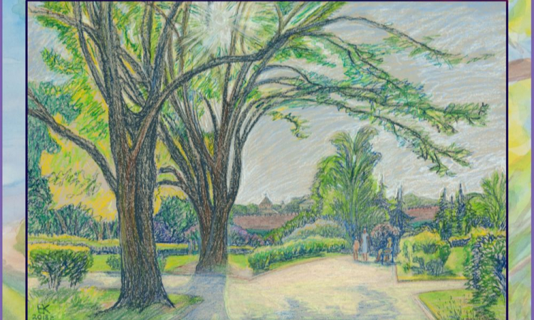 В Новгородской областной библиотеке работает выставка «Мой райский сад»