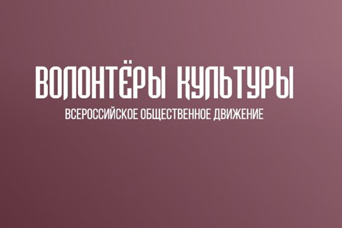 Волонтеры культуры Новгородской области обсудили планы работы на онлайн-встрече 