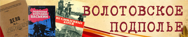 volotovskoe banner