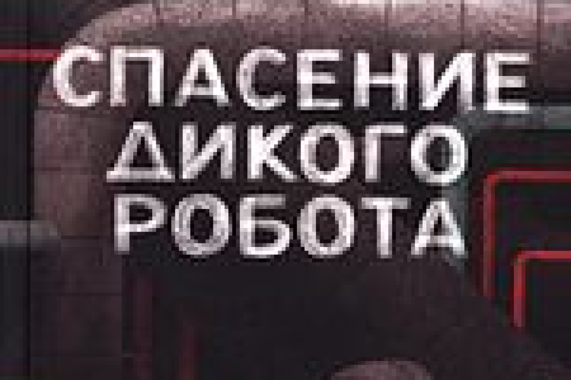 Браун, Питер (1979-).  Спасение дикого робота  : [для среднего школьного возраста] / написал и нарисовал Питер Браун ; перевела с английского Мария Сухотина. - 3-е изд. - Москва : Манн, Иванов и Фербер, 2021.