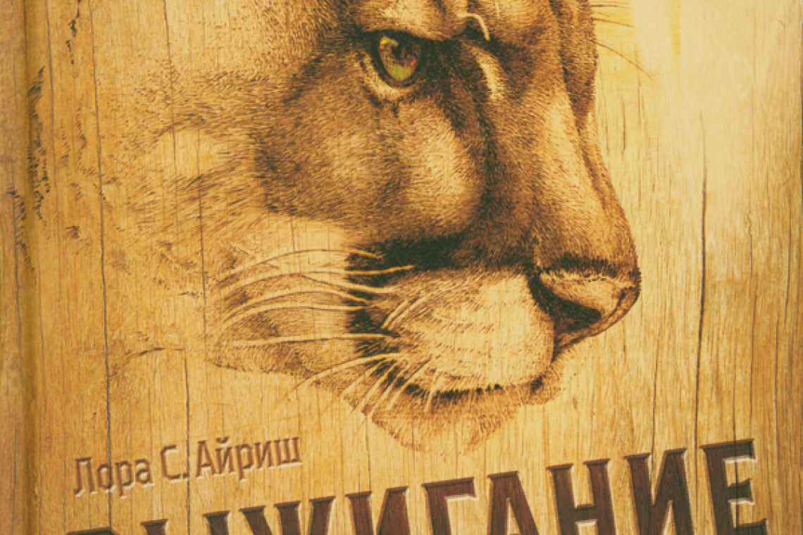 Айриш, Лора С.  Выжигание по дереву : полное пошаговое руководство по пирографии для начинающих и увлеченных