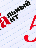 Итоги Тотального диктанта 2026 в Новгородской области