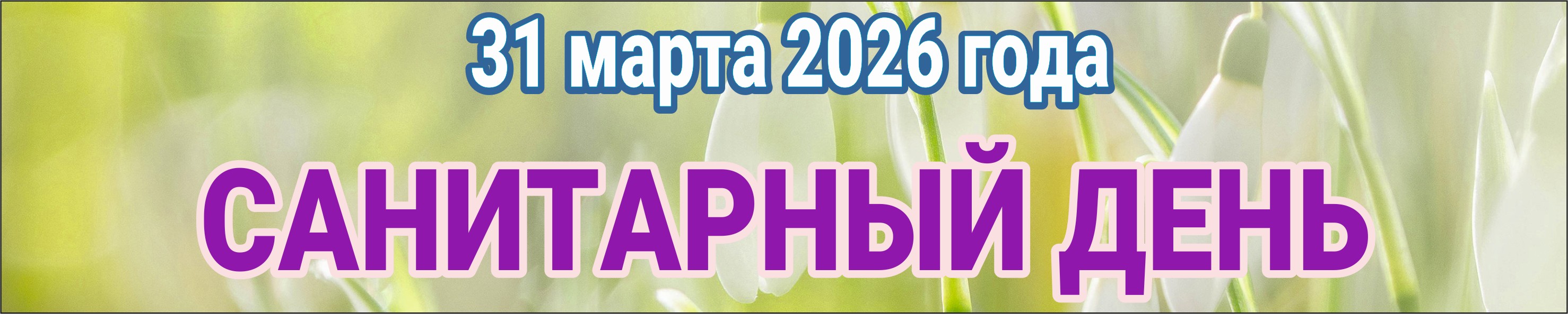 sanitarniy den31032026
